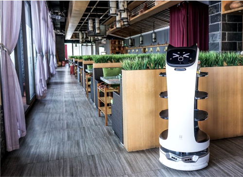 Вау! Робот. Долгосрочная аренда робота официанта BellaBot от 10 дней для кафе и ресторанов.