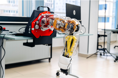 Вау! Робот. Аренда Rooky Promobot для учащихся и студентов школ по робототехнике.