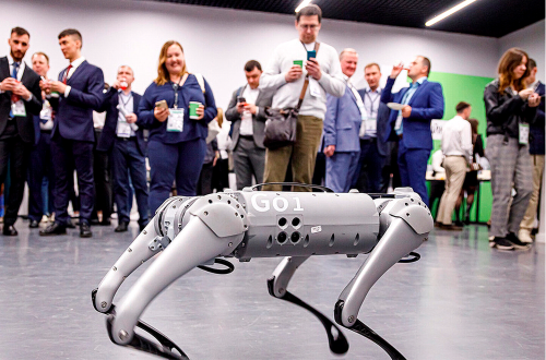 Вау! Робот. Аренда Unitree Go1 / Go1 робота собаки на выставки, фестивали, конференции.