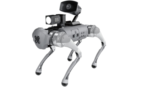 Вау! Робот. Аренда Unitree Go1 / Go1 робота собаки для рекламных компаний BTL.