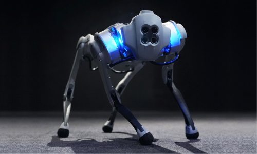Вау! Робот. Аренда Unitree Go1 / Go1 робота собаки для школ робототехники.