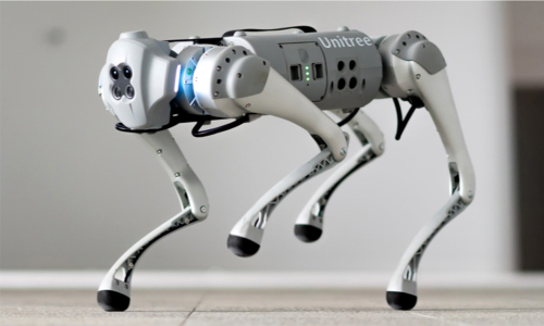 Вау! Робот. Аренда Unitree Go1 / Go1 робота собаки для школ робототехники.