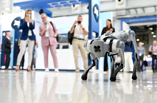 Вау! Робот. Аренда Unitree Go1 / Go1 робота собаки на выставки, фестивали, конференции.